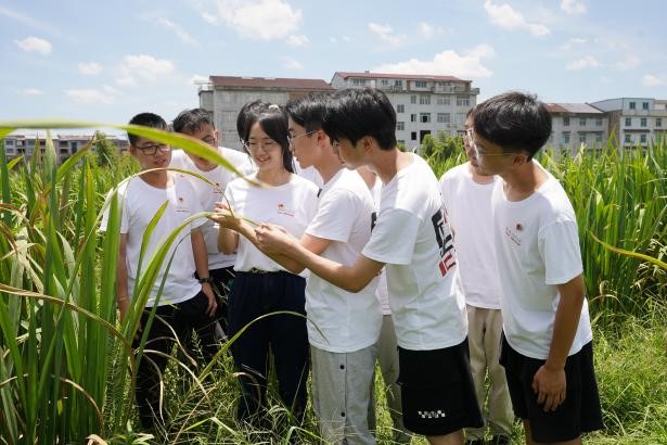 张奕铖 实地调研茭白种植基地1